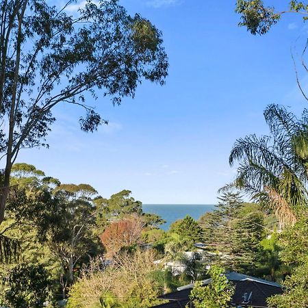 Cutie Patootie Villa Mollymook Exterior photo